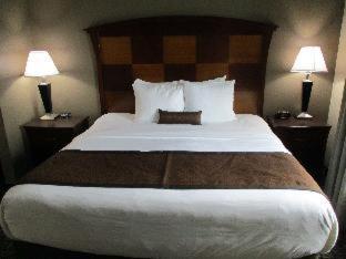 Room #49195118 at Best Western Carthage Inn & Suites