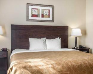 Room #135894812 at MainStay Suites Meridian - Bonita Lakes
