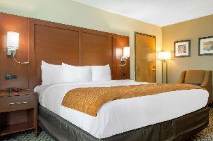 Room #27675719 at Comfort Inn & Suites Biloxi - D'Iberville
