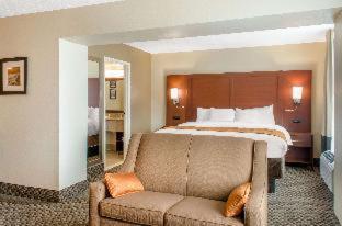 Room #27675723 at Comfort Inn & Suites Biloxi - D'Iberville