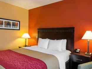 Room #49221404 at Comfort Inn & Suites Orange - Montpelier