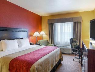 Room #49221404 at Comfort Inn & Suites Orange - Montpelier