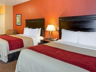 Room #49221405 at Comfort Inn & Suites Orange - Montpelier