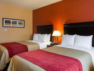 Room #49221406 at Comfort Inn & Suites Orange - Montpelier
