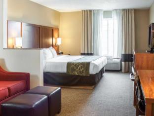 Room #30239011 at Comfort Suites Airport