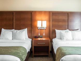 Room #30239012 at Comfort Suites Airport