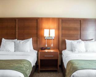 Room #30239012 at Comfort Suites Airport