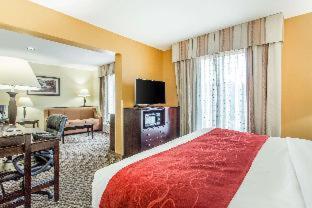Room #49160606 at Comfort Suites Clinton near Presbyterian College