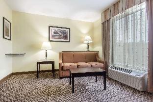 Room #49160606 at Comfort Suites Clinton near Presbyterian College
