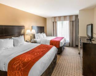 Room #49160607 at Comfort Suites Clinton near Presbyterian College