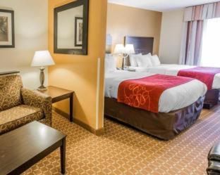 Room #49160607 at Comfort Suites Clinton near Presbyterian College