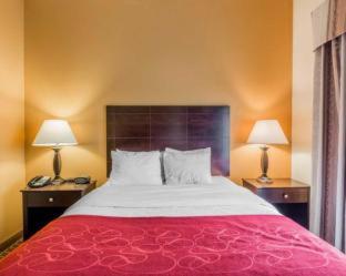 Room #49160608 at Comfort Suites Clinton near Presbyterian College