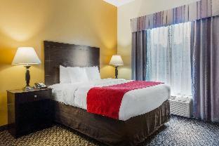 Room #49160608 at Comfort Suites Clinton near Presbyterian College