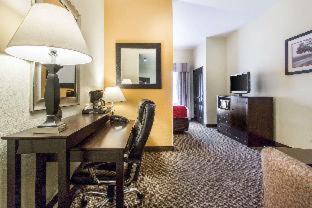 Room #49160608 at Comfort Suites Clinton near Presbyterian College