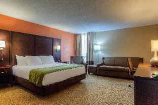 Room #52049810 at Comfort Inn & Suites Evansville Airport