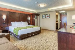 Room #52049810 at Comfort Inn & Suites Evansville Airport