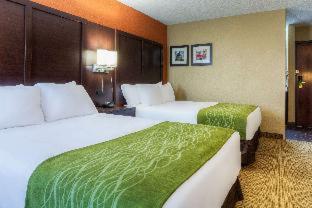 Room #52049811 at Comfort Inn & Suites Evansville Airport