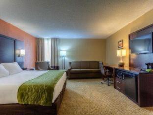 Room #52049813 at Comfort Inn & Suites Evansville Airport
