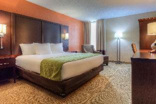 Room #52049816 at Comfort Inn & Suites Evansville Airport