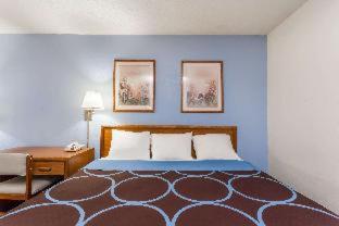Room #36357012 at Super 8 by Wyndham Norwich