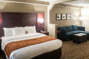 Room #49167903 at Comfort Suites Knoxville Airport