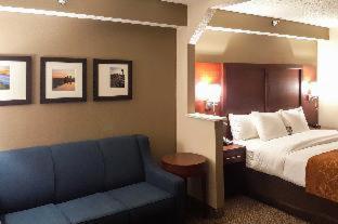 Room #49167903 at Comfort Suites Knoxville Airport