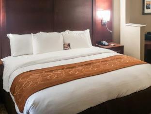Room #49167903 at Comfort Suites Knoxville Airport