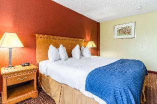Room #34429122 at Rodeway Inn & Suites Jacksonville near Camp Lejeune