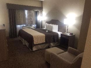 Room #52879919 at Best Western El-quartelejo Inn & Suites