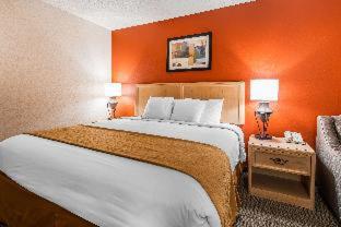 Room #48929609 at Quality Inn and Suites Garden of the Gods