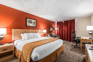 Room #48929609 at Quality Inn and Suites Garden of the Gods