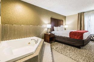 Room #17269122 at Comfort Inn & Suites Greenwood near University