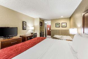 Room #17269122 at Comfort Inn & Suites Greenwood near University