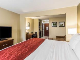 Room #17269123 at Comfort Inn & Suites Greenwood near University