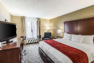 Room #17269123 at Comfort Inn & Suites Greenwood near University