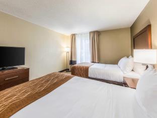 Room #17269126 at Comfort Inn & Suites Greenwood near University