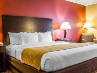 Room #48936711 at Comfort Inn & Suites