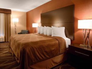 Room #49095513 at Best Western Maple City Inn