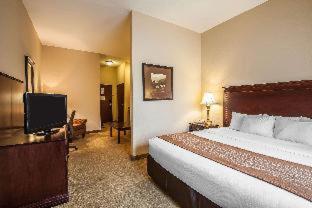 Room #49121211 at Comfort Inn & Suites McMinnville Wine Country