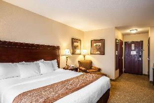 Room #49121212 at Comfort Inn & Suites McMinnville Wine Country