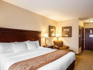 Room #49121212 at Comfort Inn & Suites McMinnville Wine Country