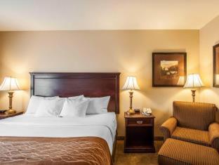 Room #49121212 at Comfort Inn & Suites McMinnville Wine Country