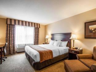 Room #49121212 at Comfort Inn & Suites McMinnville Wine Country