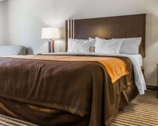 Room #45807712 at Comfort Inn & Suites Perry I-35