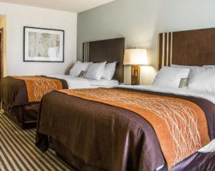 Room #45807707 at Comfort Inn & Suites Perry I-35