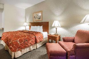 Room #49007107 at Quality Inn