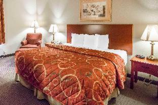 Room #49007107 at Quality Inn