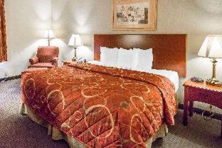 Room #49007110 at Quality Inn