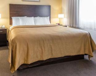 Room #158706904 at MainStay Suites Pittsburgh Airport