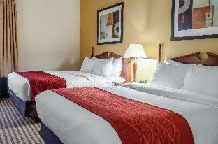 Room #49129309 at Comfort Suites State College near Penn State